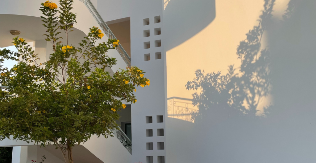 Home insurance claim adjuster secret tactics